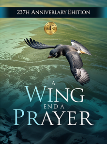 Book cover 11